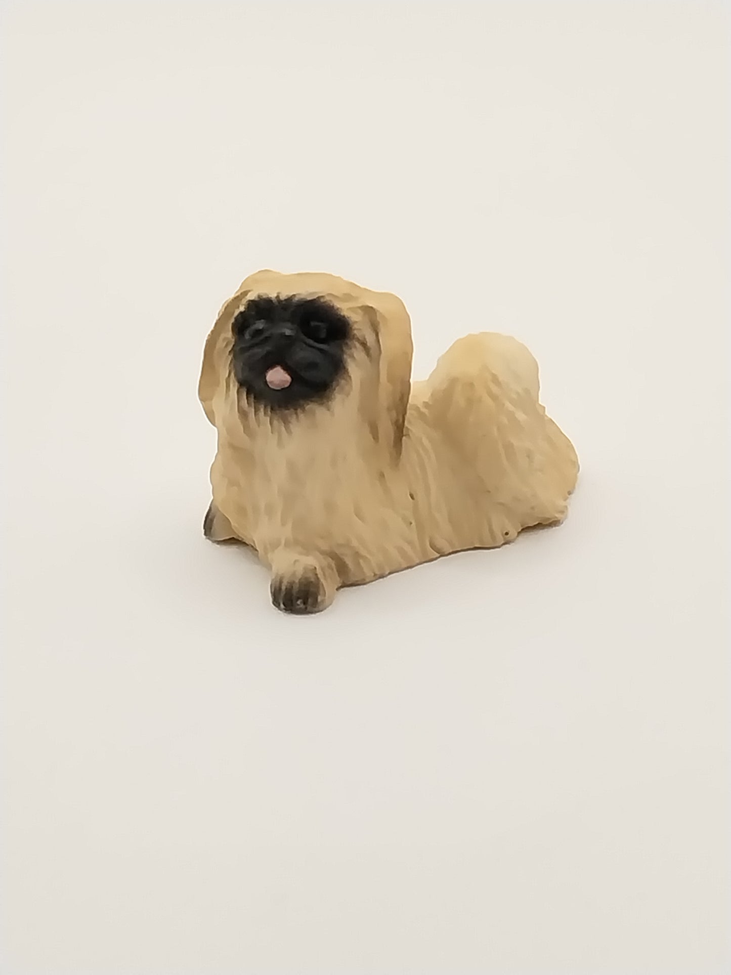 Pekinese Dog, DISC