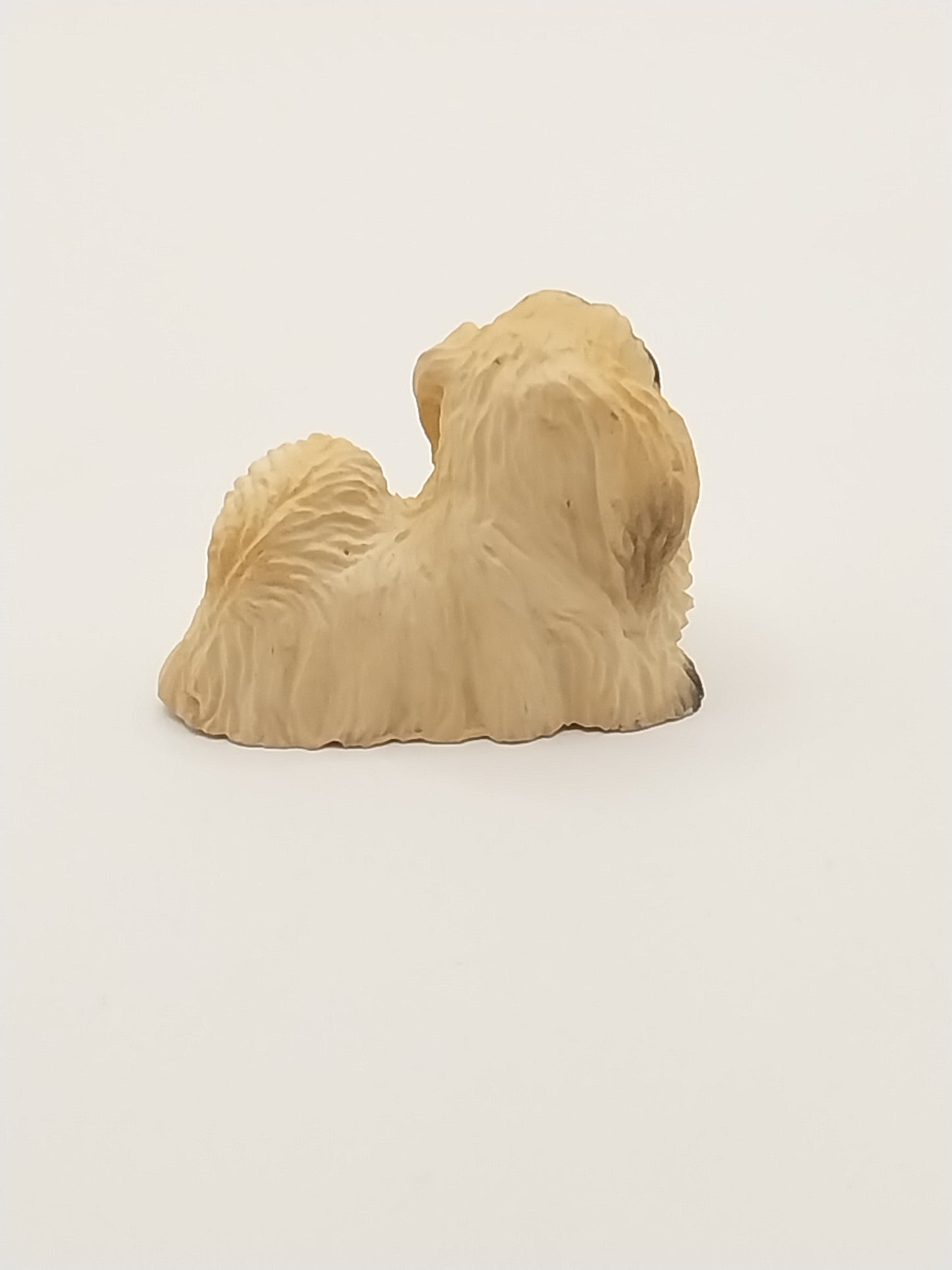 Pekinese Dog, DISC
