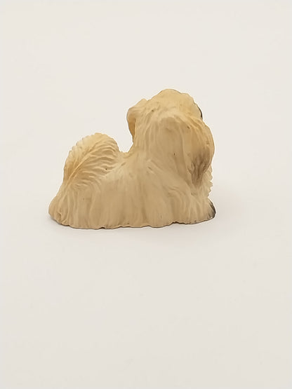 Pekinese Dog, DISC