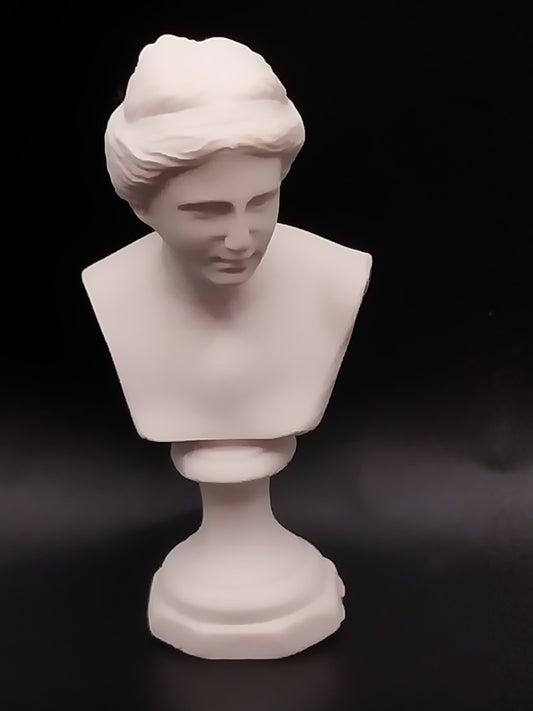 Venus Bust, White