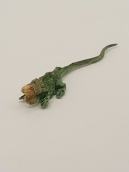 Iguana, DISC