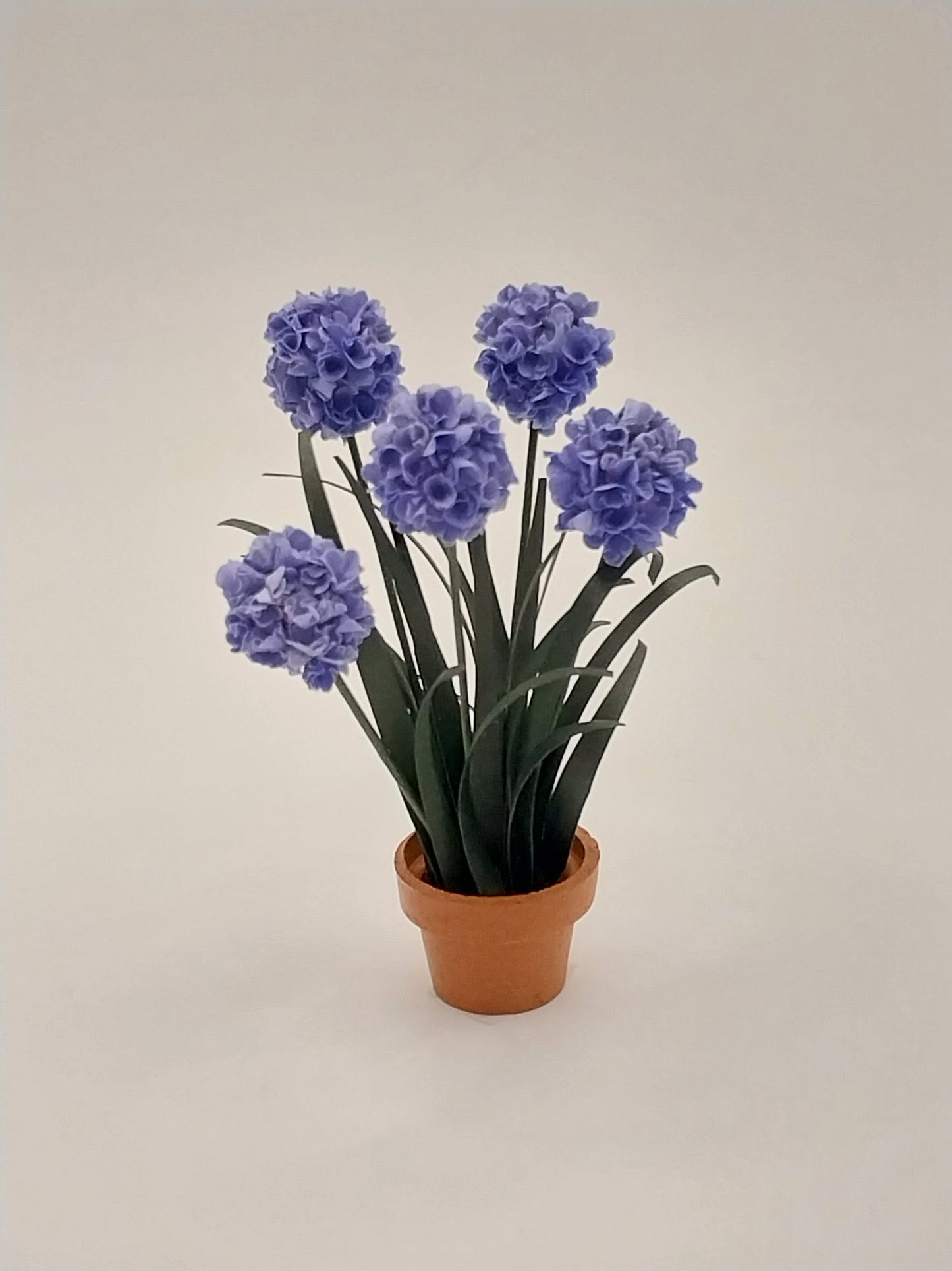Hydrangeas In Clay Pot, Purple