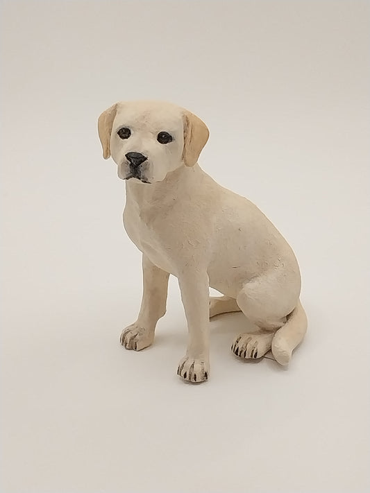 Yellow Lab Dog, Sitting