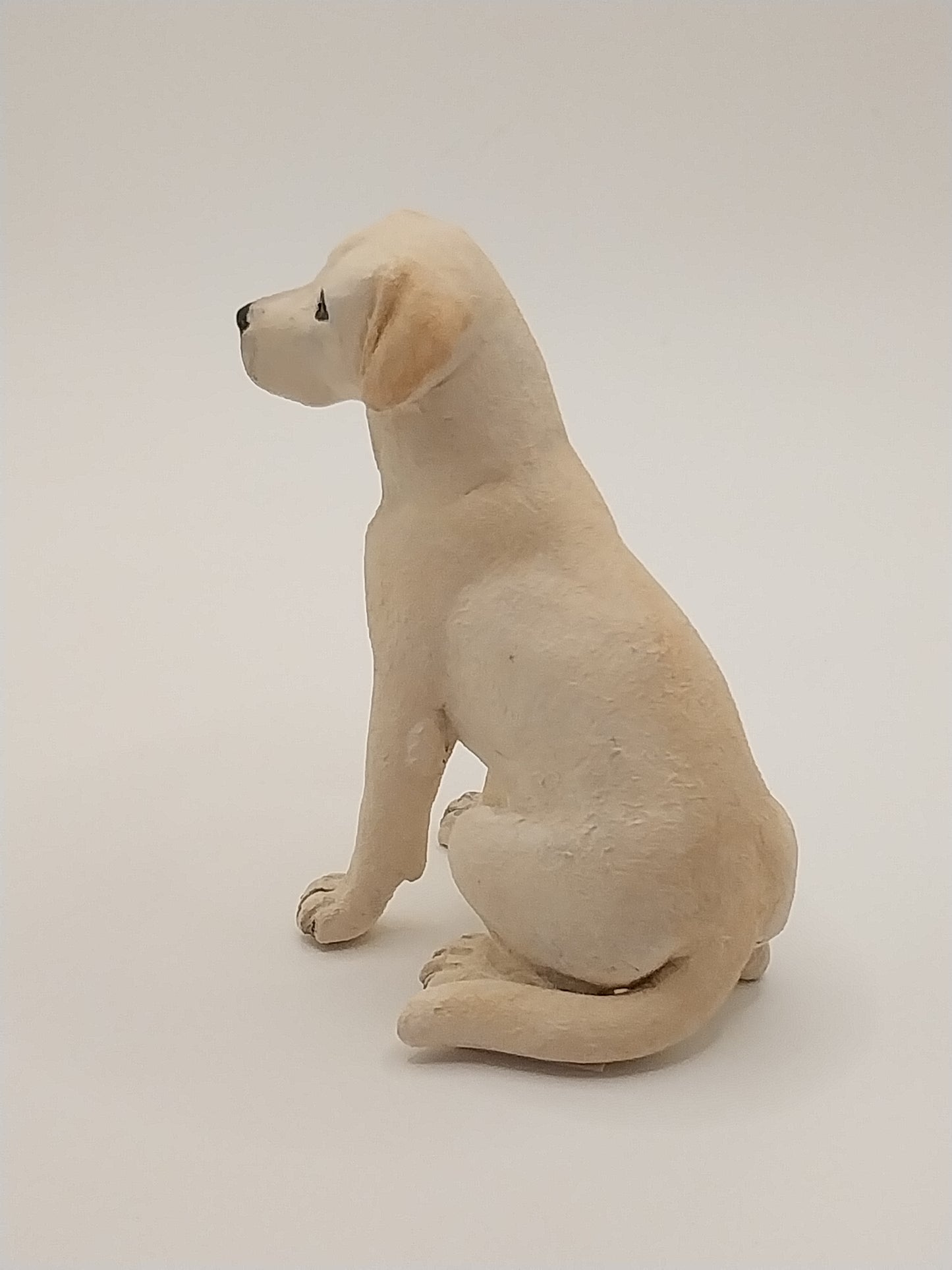 Yellow Lab Dog, Sitting