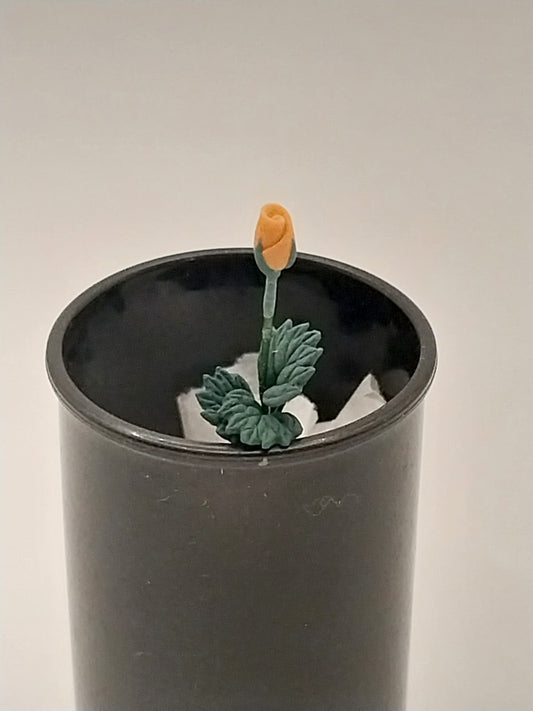 Rose Bud Flower Stem, Peach, 1pc