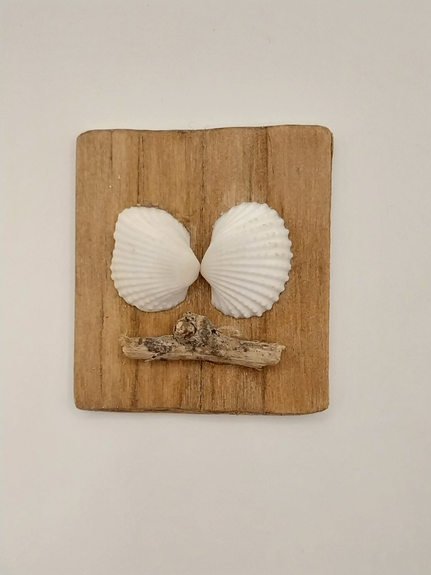 Shell Wall Plaque, Shell & Drift Wood