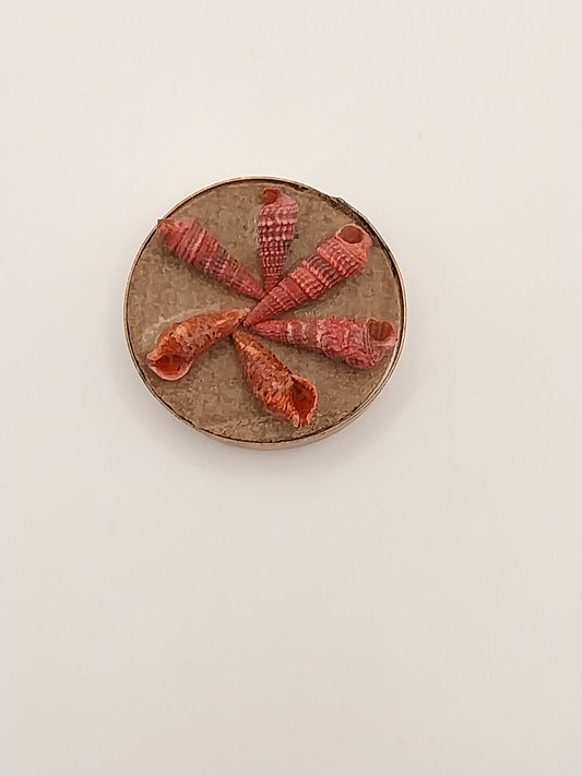 Shell Wall Plaque, Round, Red Shells
