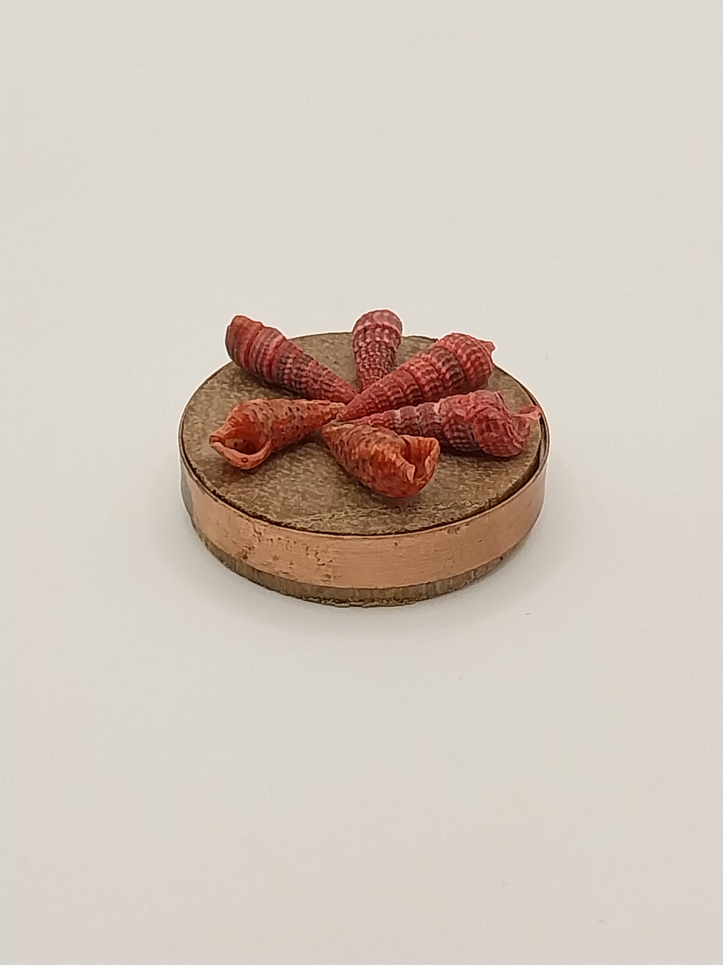Shell Wall Plaque, Round, Red Shells