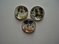 Puppy Dishes, 3pc