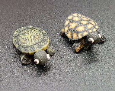 Turtle, Fimo