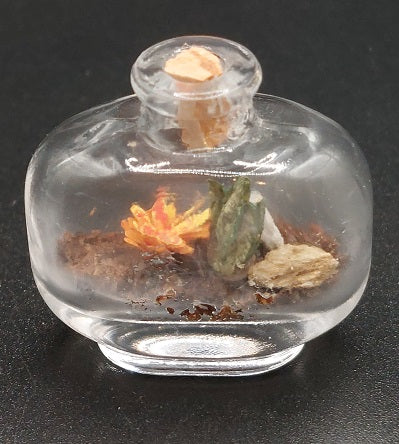 Landscape In Bottle Terrarium