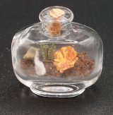 Landscape In Bottle Terrarium