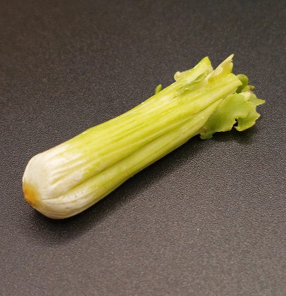 CMS097, Celery, Full Stalk