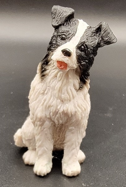 Border Collie Dog, Sitting