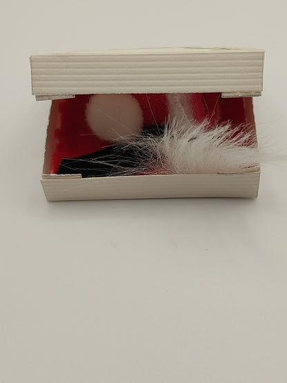 Santa Suit in Box