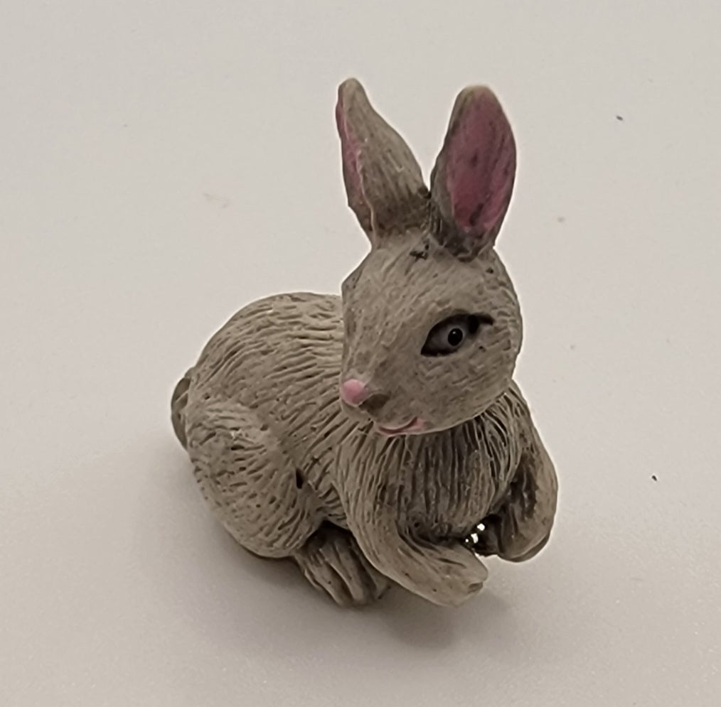 Grey Rabbit Sitting