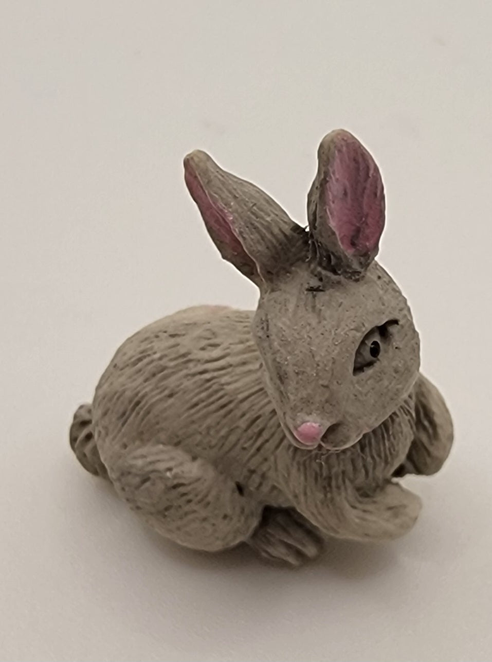 Grey Rabbit Sitting