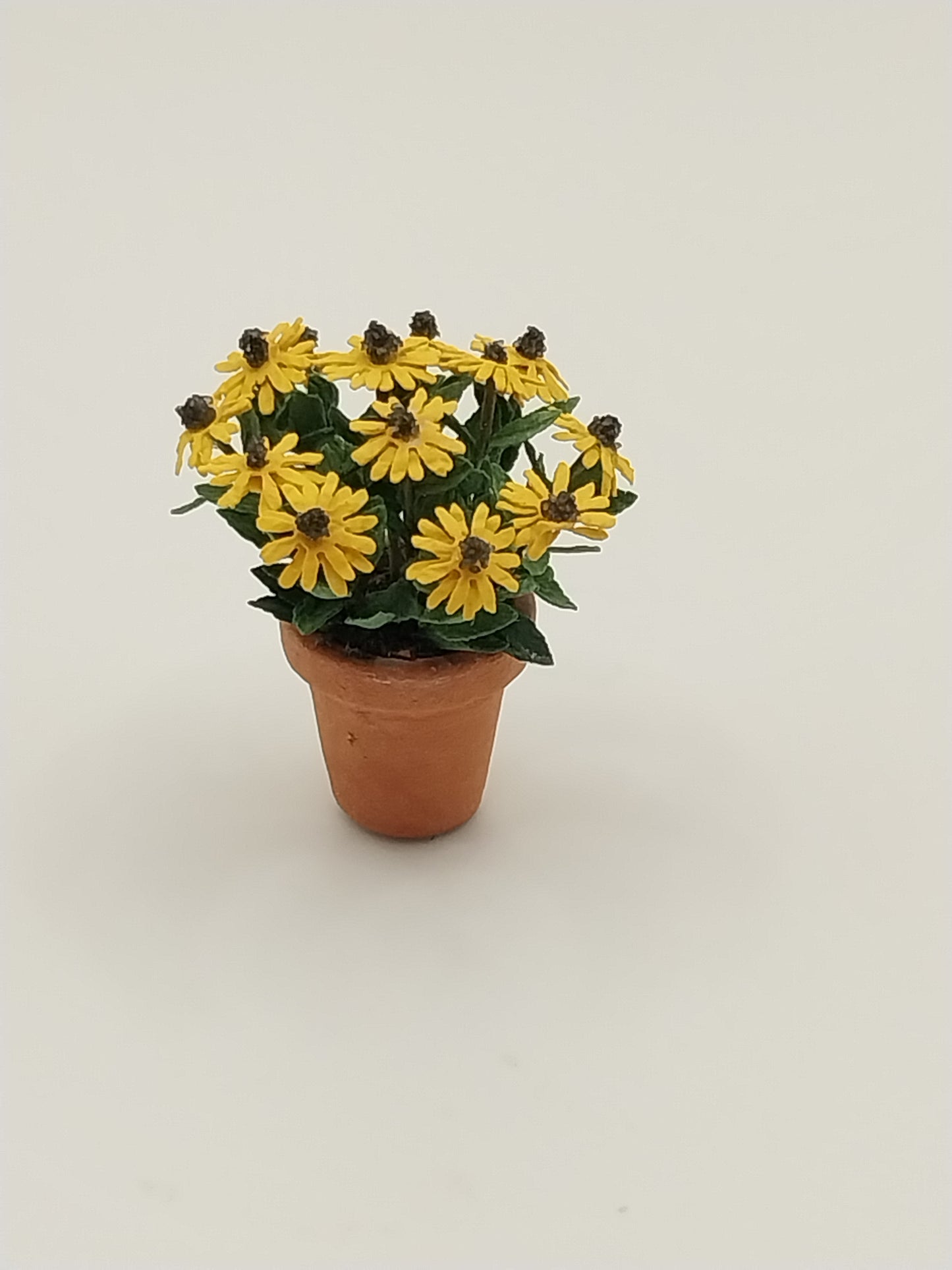 1/2" Scale Black Eyed Susan Plant