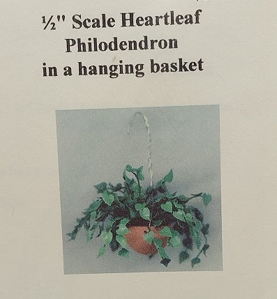 1/2" Scale Heartleaf Philodendron in Hanging Basket Kit