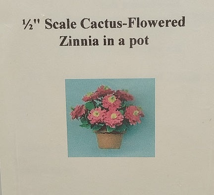 1/2" Scale Cactus Flowered Zinnia In Pot Kit