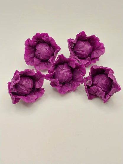 Purple Cabbage, 5pc