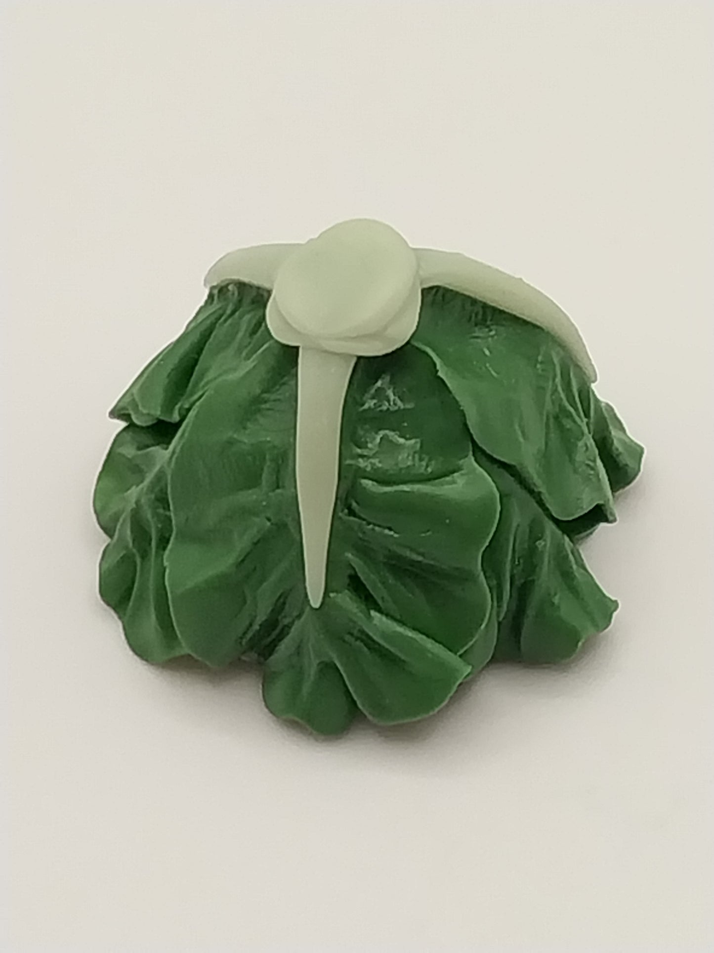 Green Cabbage, 5pcs