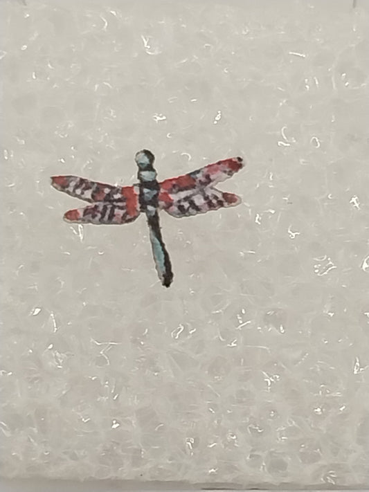 CPW023, Dragonfly