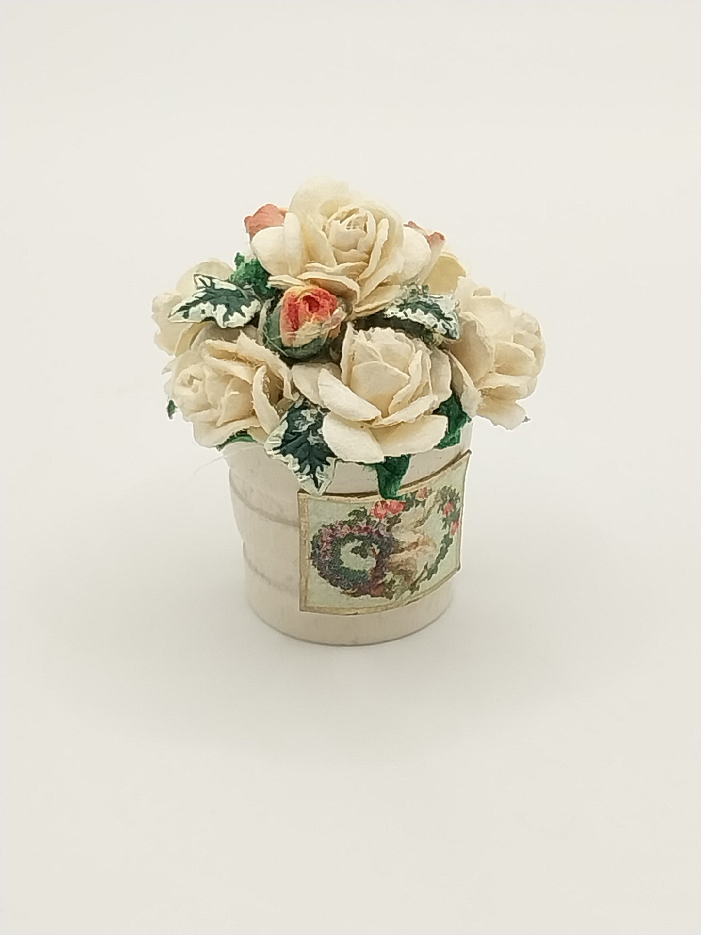 Bucket Of Roses, Cream