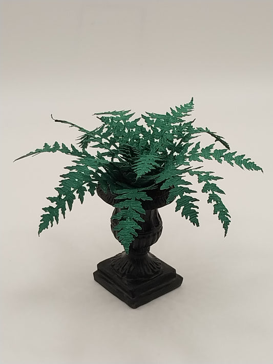 Hawaiian Fern in Black Urn