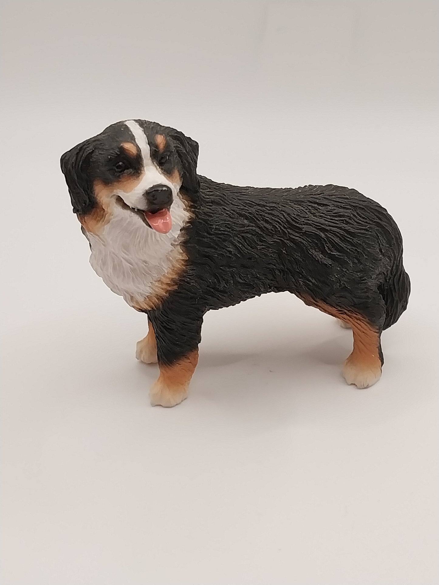 Burmese Mountain Dog, Standing