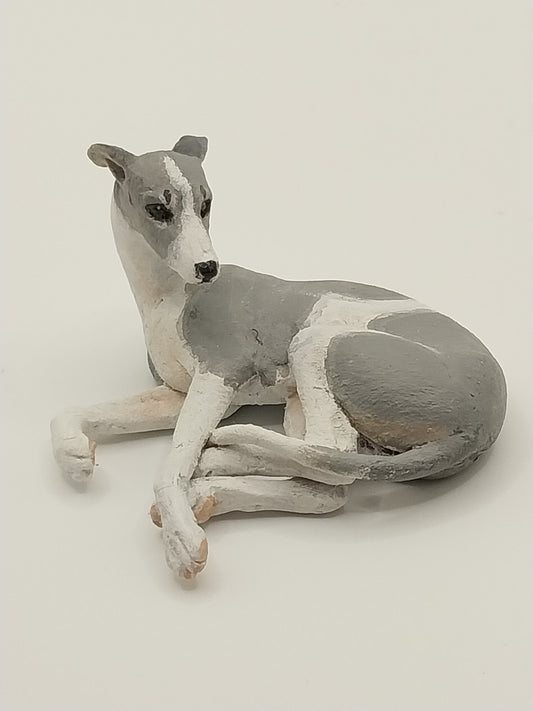 Whippet Dog, Gray, Laying