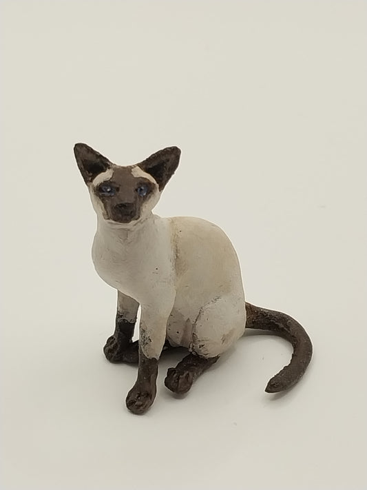 Chocolate Point Siamese Cat, Sitting
