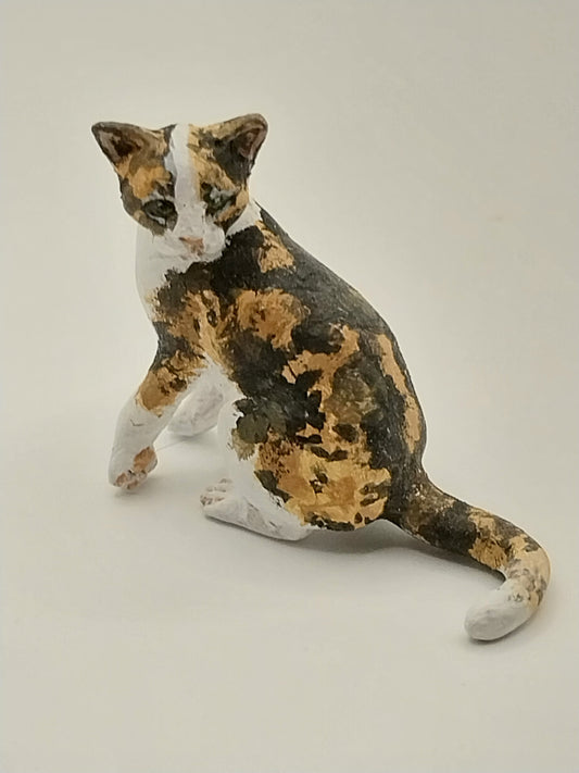 Tortoiseshell Cat, Sitting