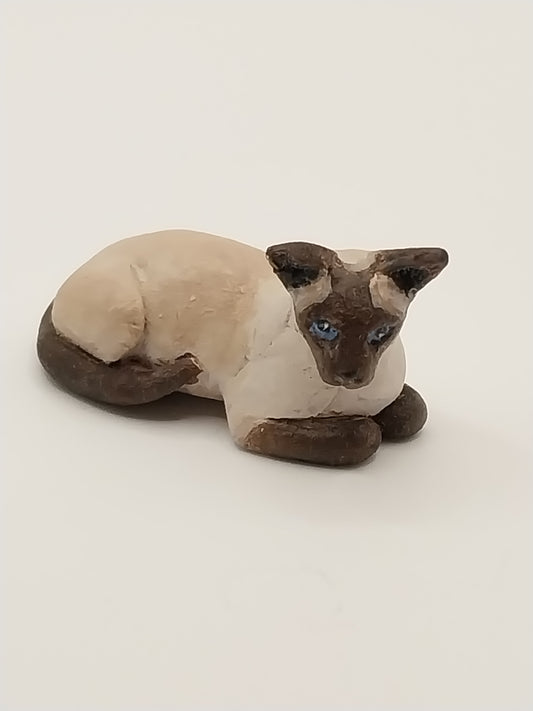 Siamese Cat, Laying
