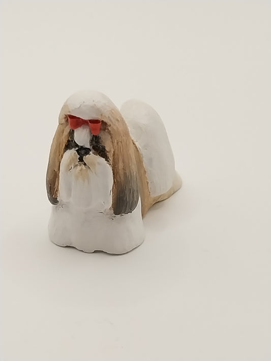 Shih Tzu Dog, Standing