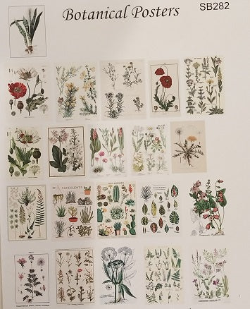 Botanical Posters, Sheet