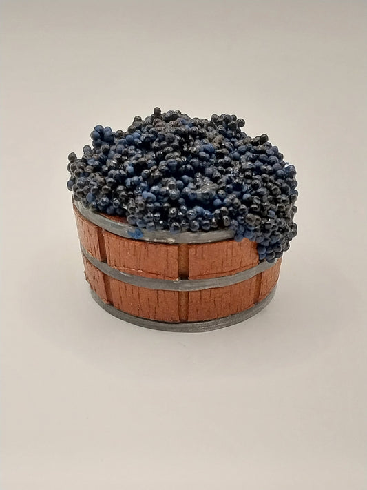 Bucket Filled with Concord Grapes