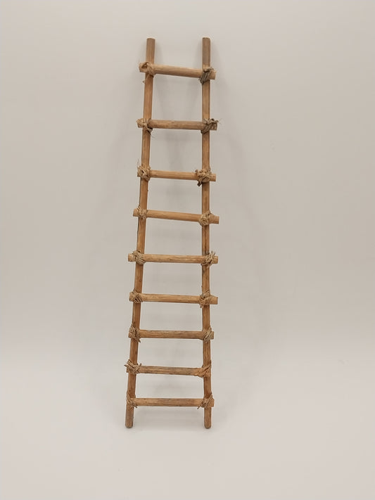 Southwest Style Ladder