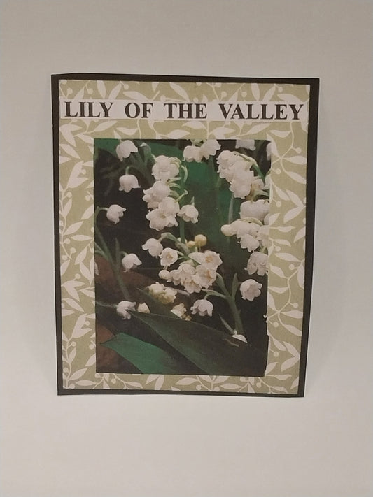 Lily Of The Valley Flower Kit