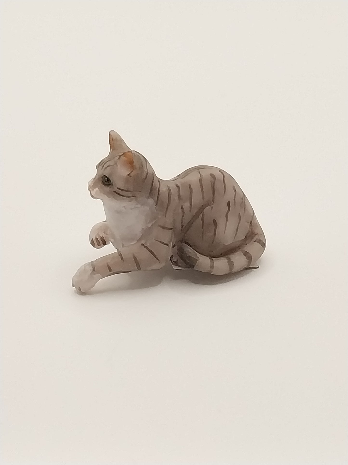 Laying Cat with Paw Hanging, Grey Tabby