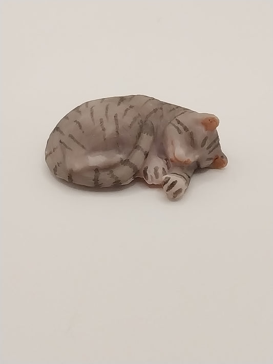 Cat, Curled Up Sleeping, Grey