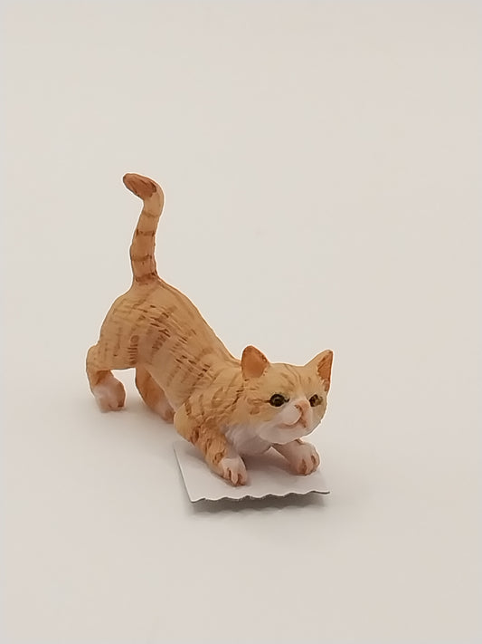 Cat Sniffing, Orange