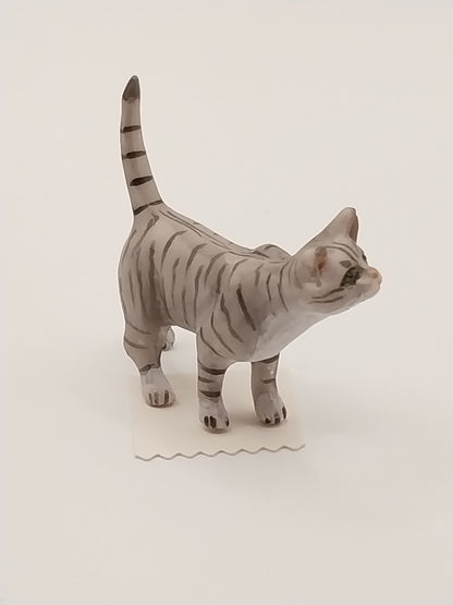 Cat Walking Tail Up, Grey Tabby