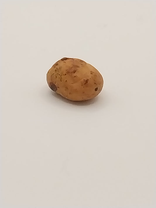 Potato, Tan, 1pc