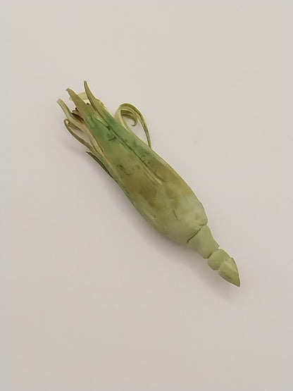 Corn with Husk, Single