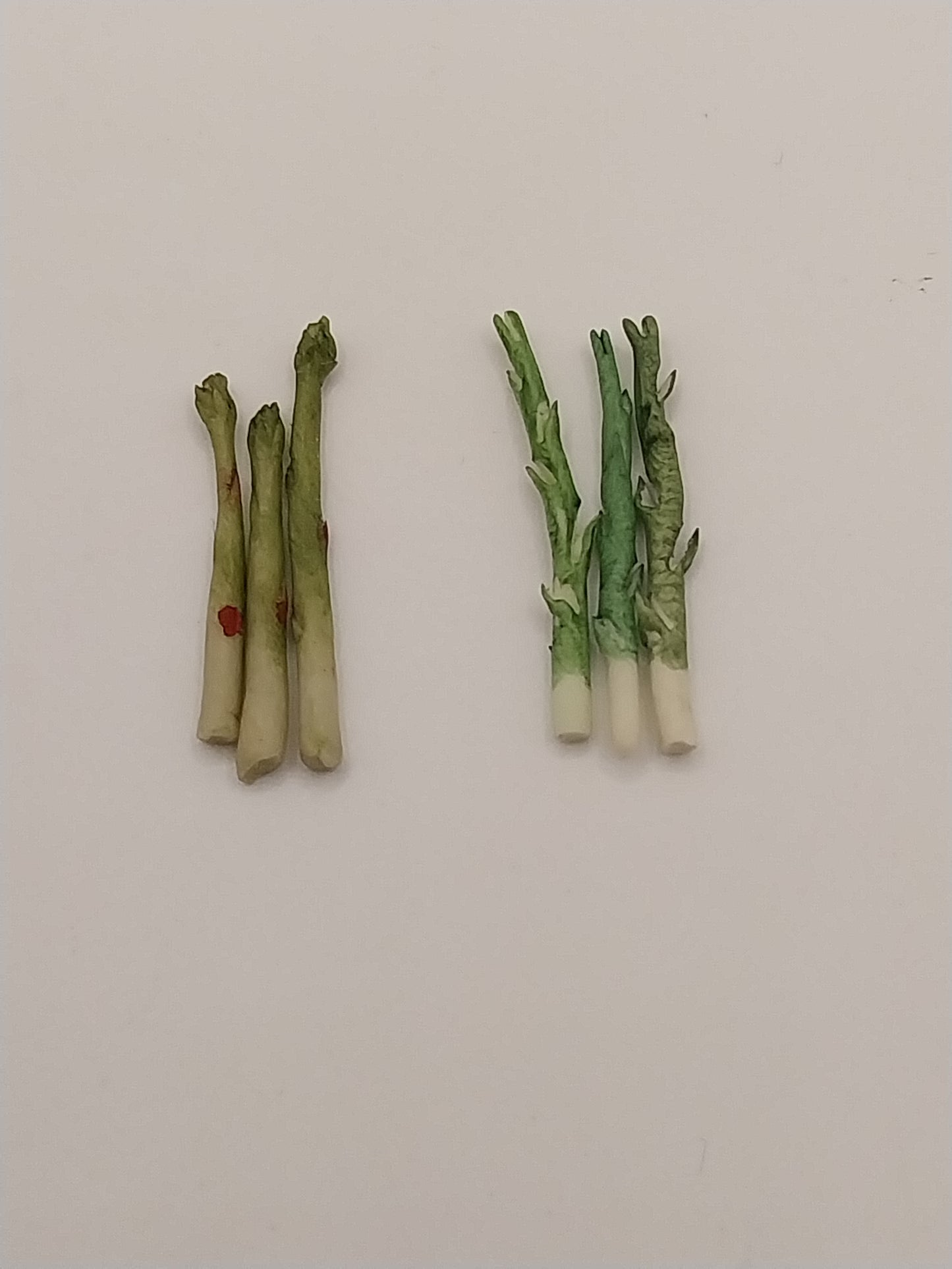 Asparagus Stalk, 3pcs