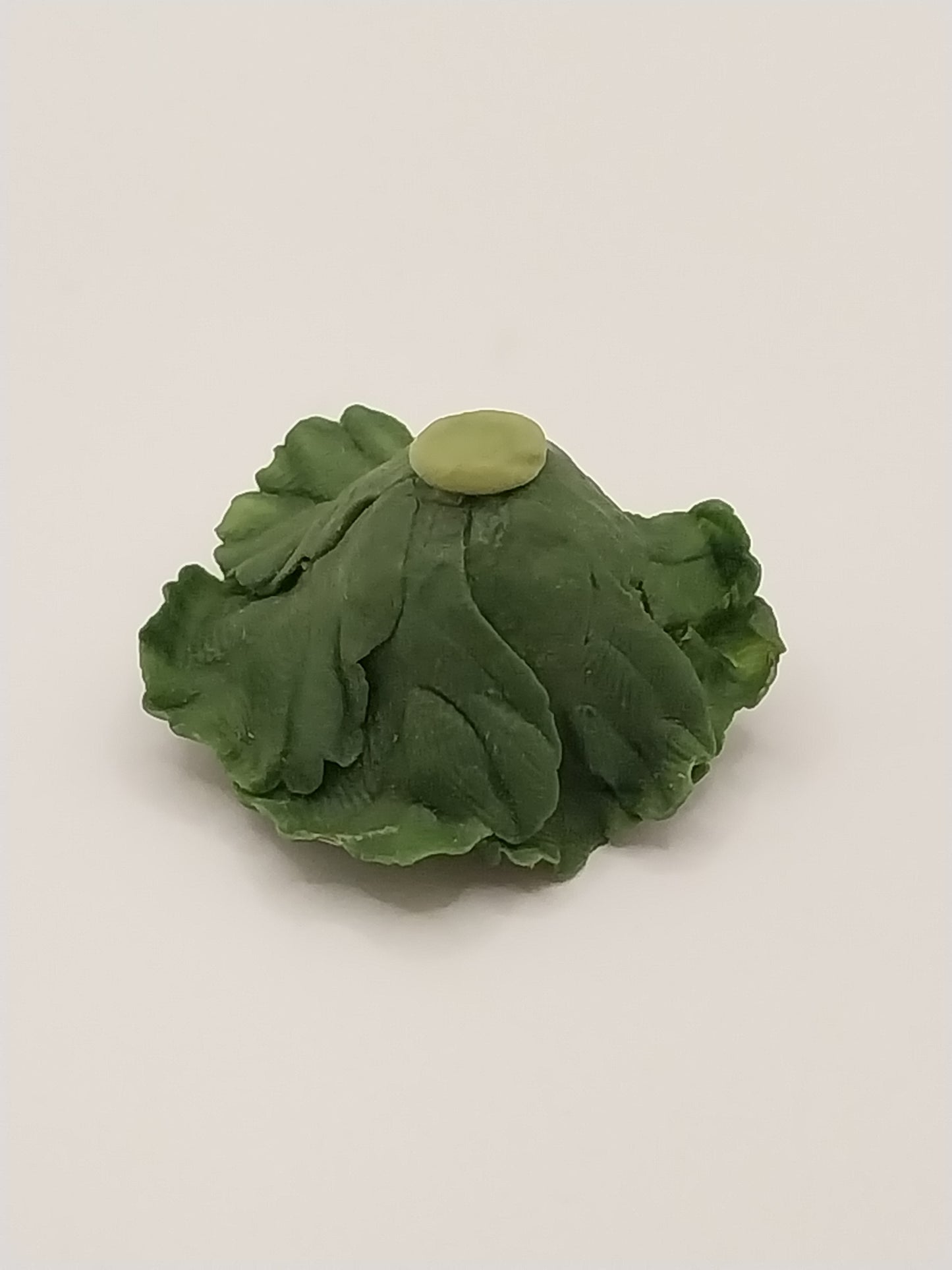 Cabbage Head, Open Leaf, Green