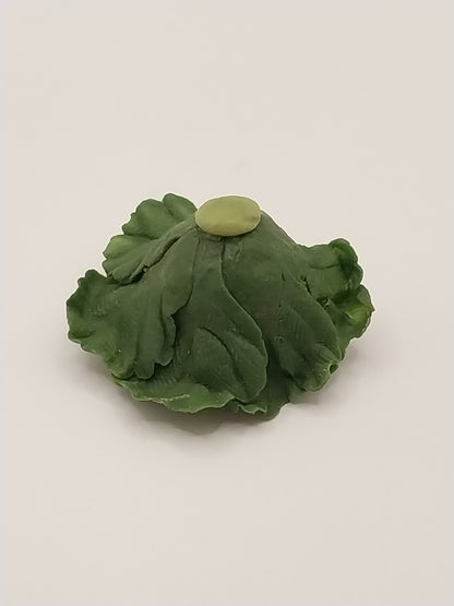 Cabbage Head, Open Leaf, Green