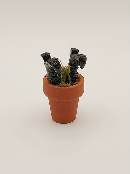 Witch's Boots In Clay Pot