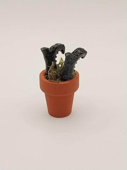Witch's Boots In Clay Pot